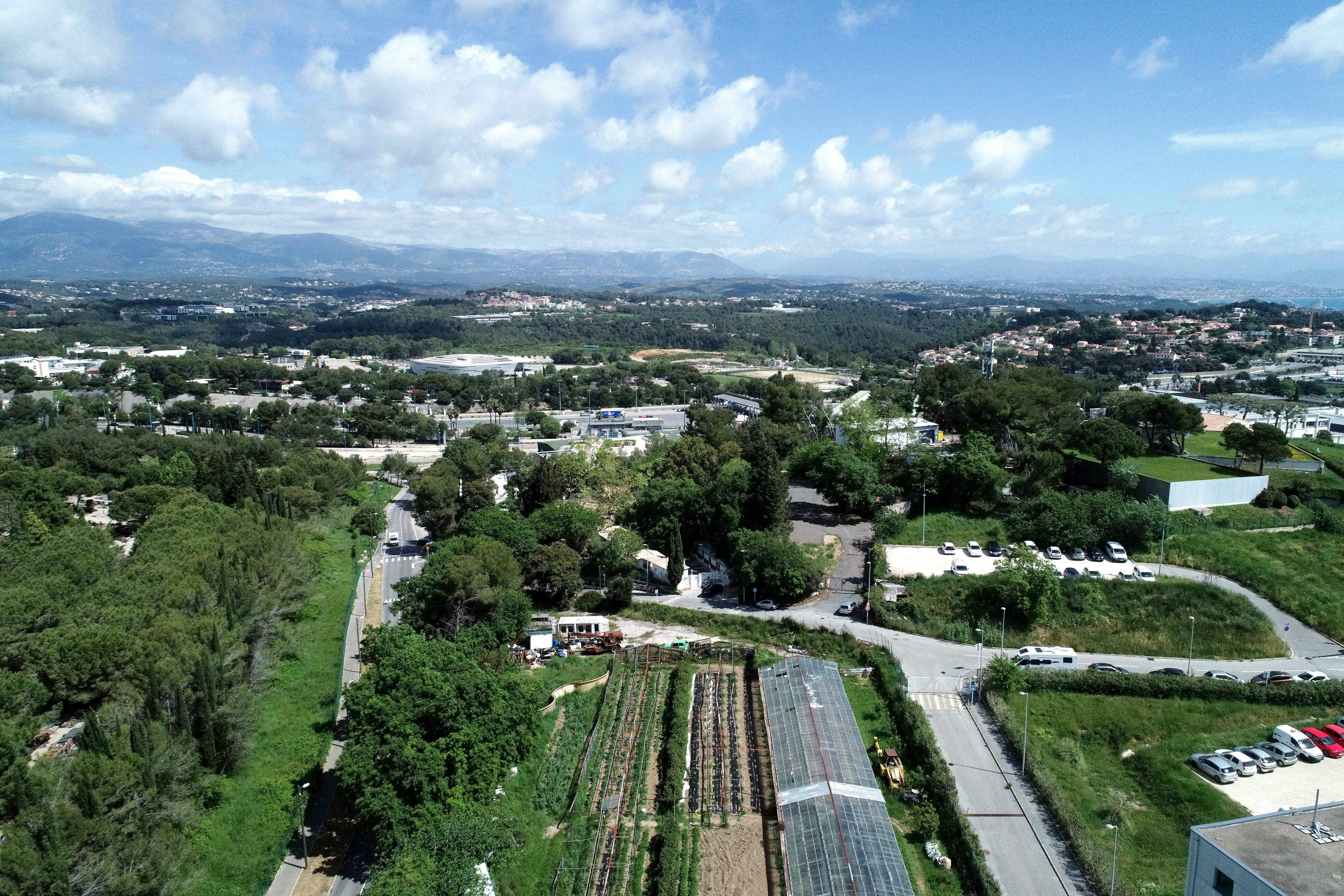 Création de logements et d'espaces verts... On en sait plus sur le projet de réaménagement du quartier des Terriers à Antibes