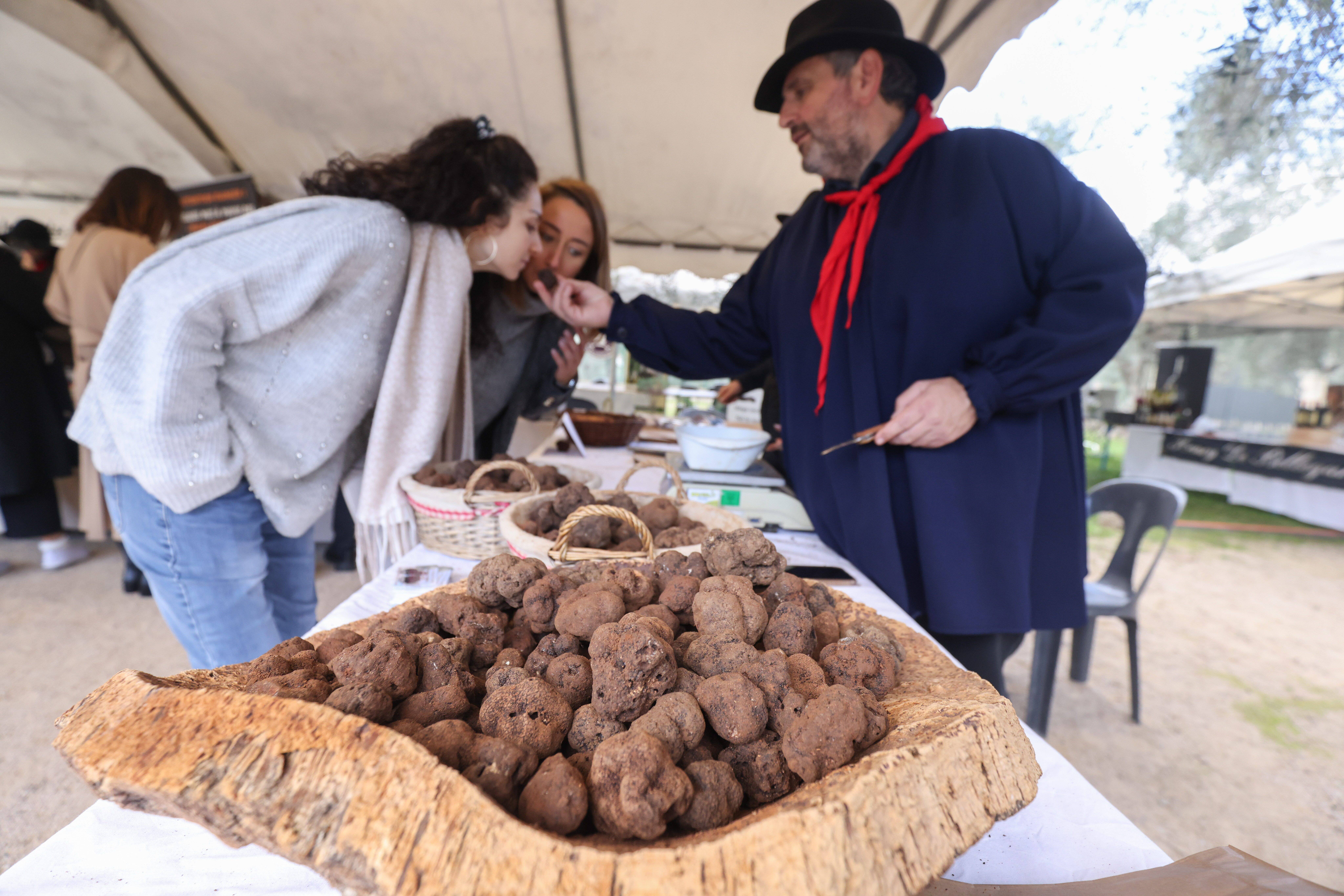 Profitez de la truffe noire dans le Var