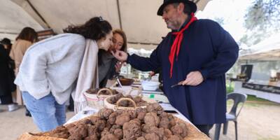 Plus de 17 kilos de truffes vendus chez Chibois à Grasse, prochain rendez-vous au Rouret