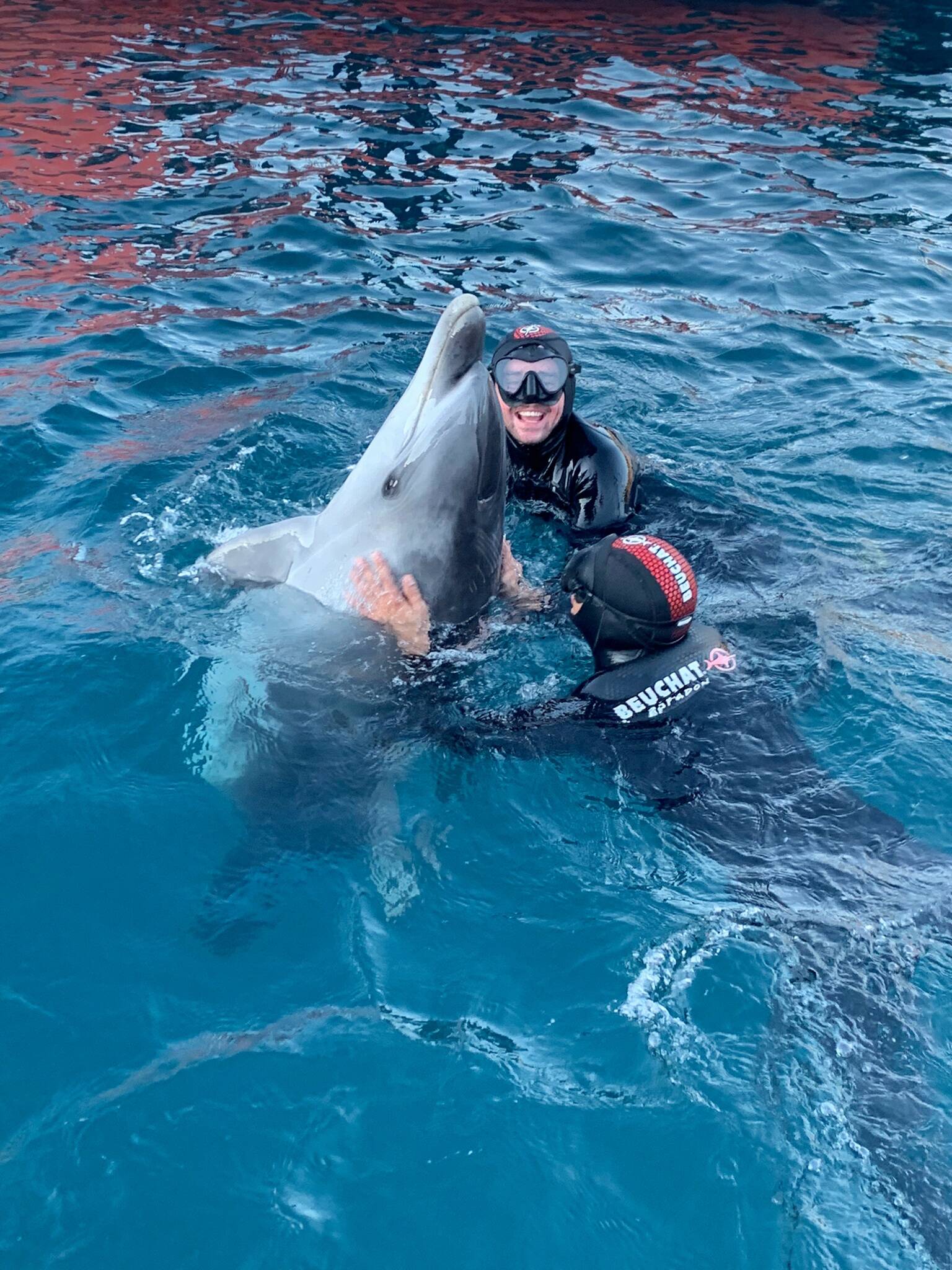 "Une expérience unique": Ils ont nagé avec un dauphin dans le port Hercule de Monaco