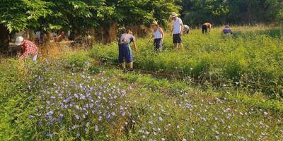 L'association Fleurs d'exception va occuper un terrain agricole de 2 hectares pendant 25 ans à Mouans-Sartoux