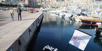 400 litres de déchets sont aspirés chaque semaine par deux petits robots dans le port Hercule à Monaco