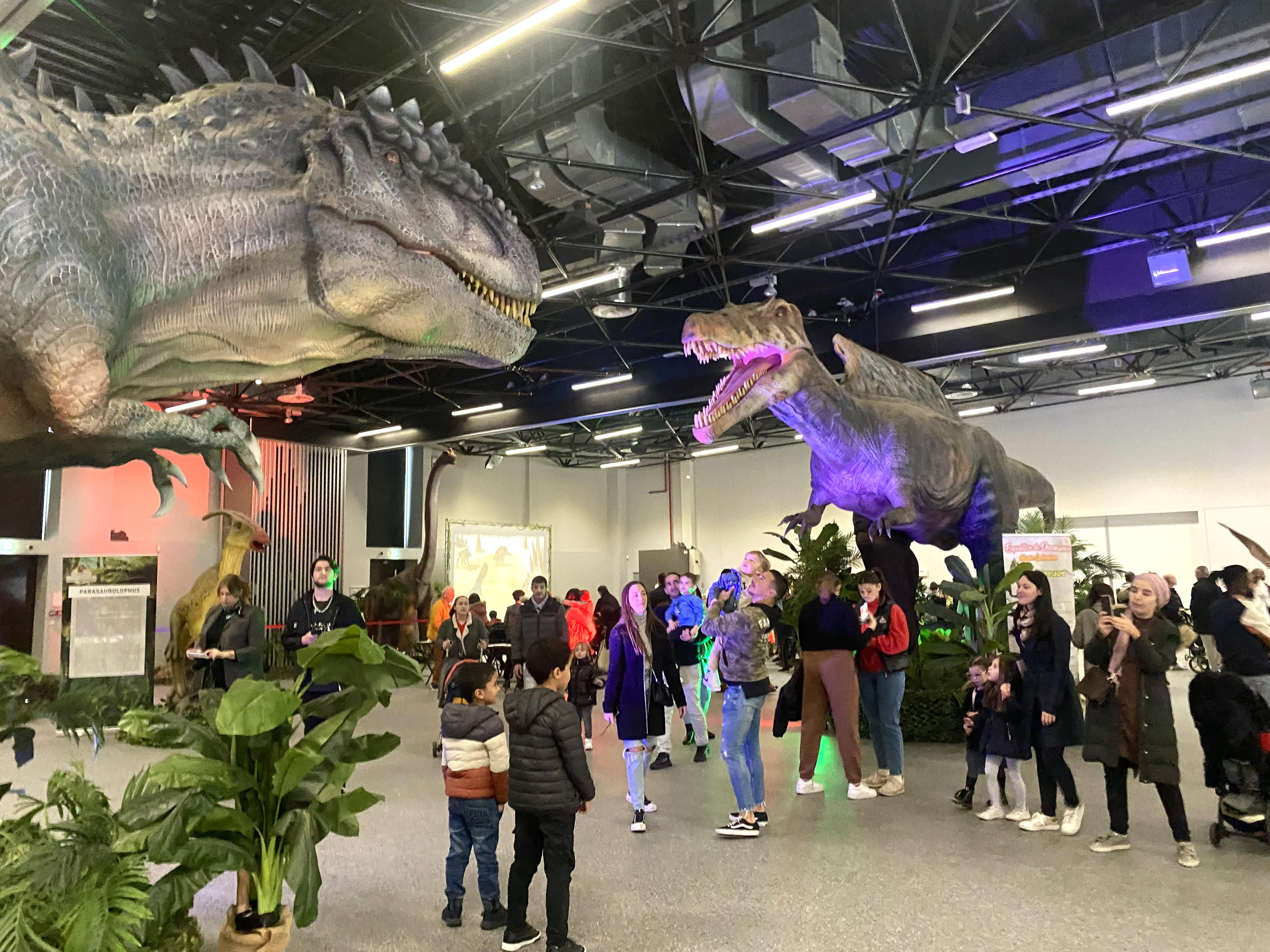 5 raisons de visiter le musée éphémère des dinosaures à Mandelieu ...