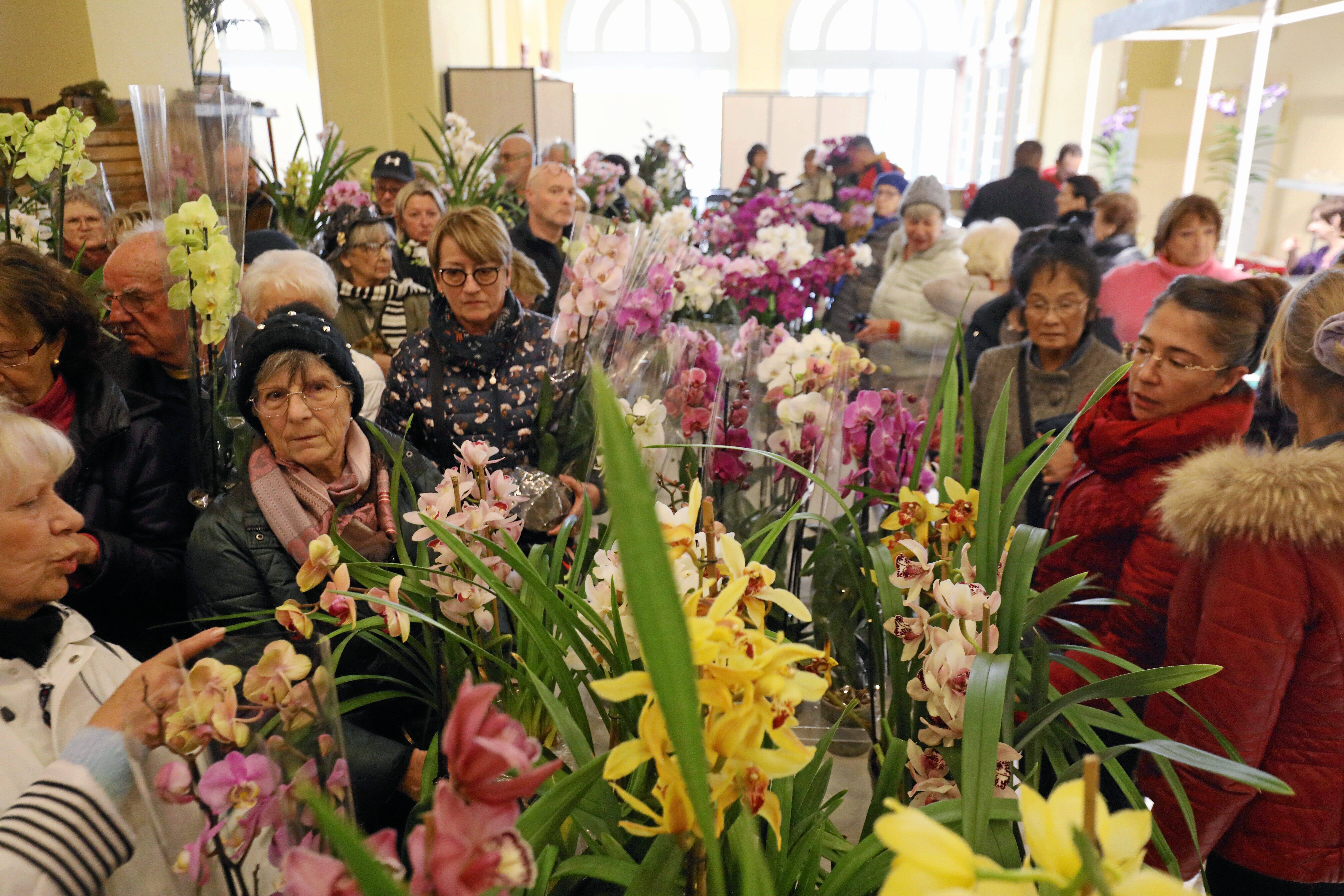 Gros succès pour le dernier jour du Festival de l'orchidée au Palais de l'Europe à Menton