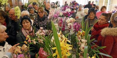 Gros succès pour le dernier jour du Festival de l'orchidée au Palais de l'Europe à Menton