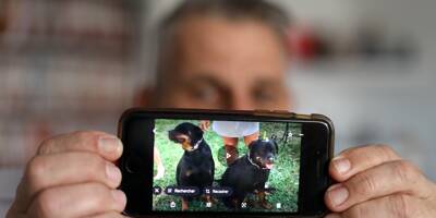 Ils avaient violemment attaqué un joggeur dans le Var: l'euthanasie des deux rottweilers maintenue