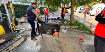Compteurs connectés, chiens renifleurs...: comment Veolia traque les fuites d'eau à Antibes