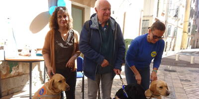 À Toulon, une association met en relation les chiens guides d'aveugles et leurs maîtres