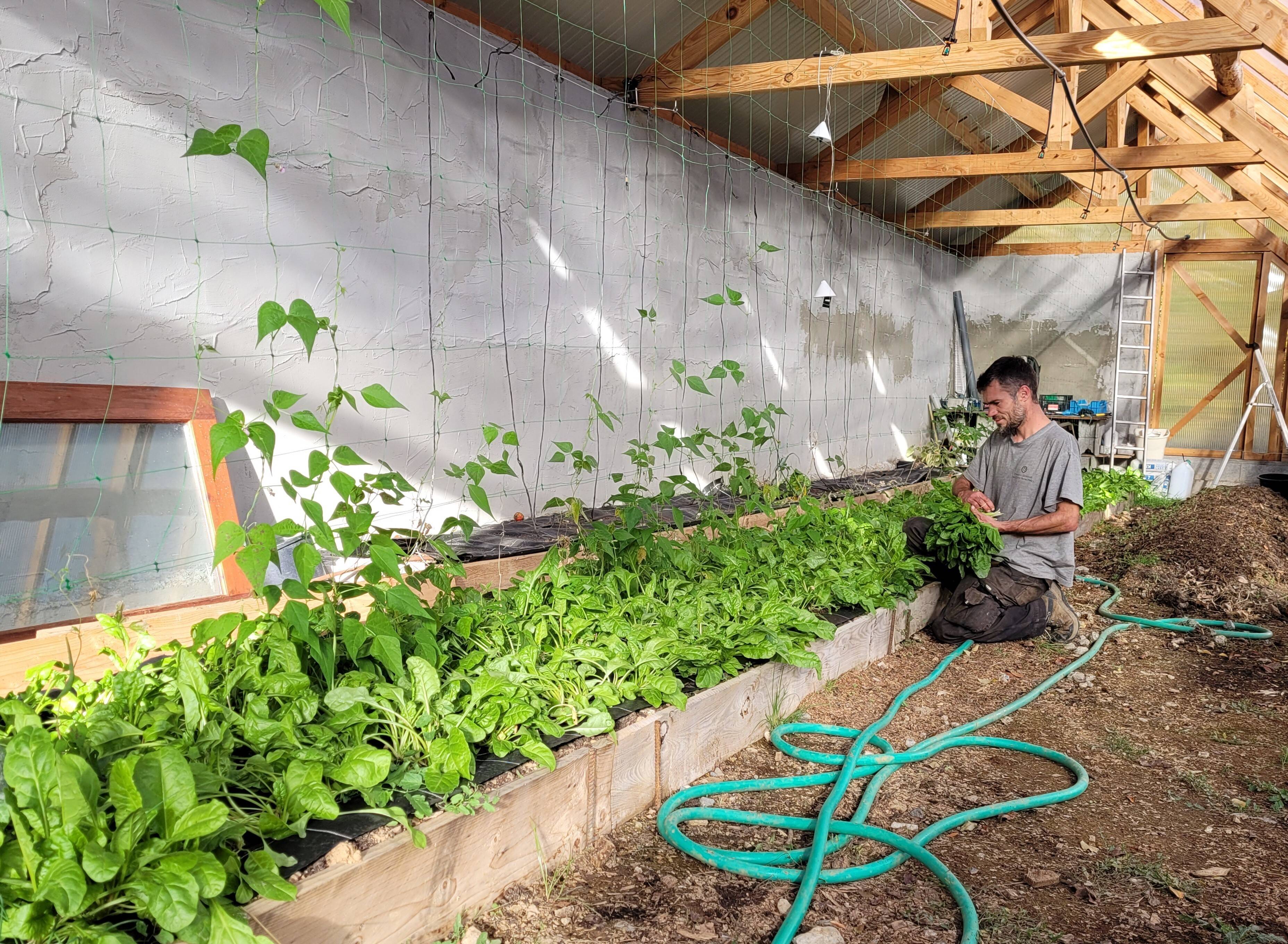 Elle se trouve à 1.700 m d'altitude: la serre bioclimatique la plus haute de France est azuréenne