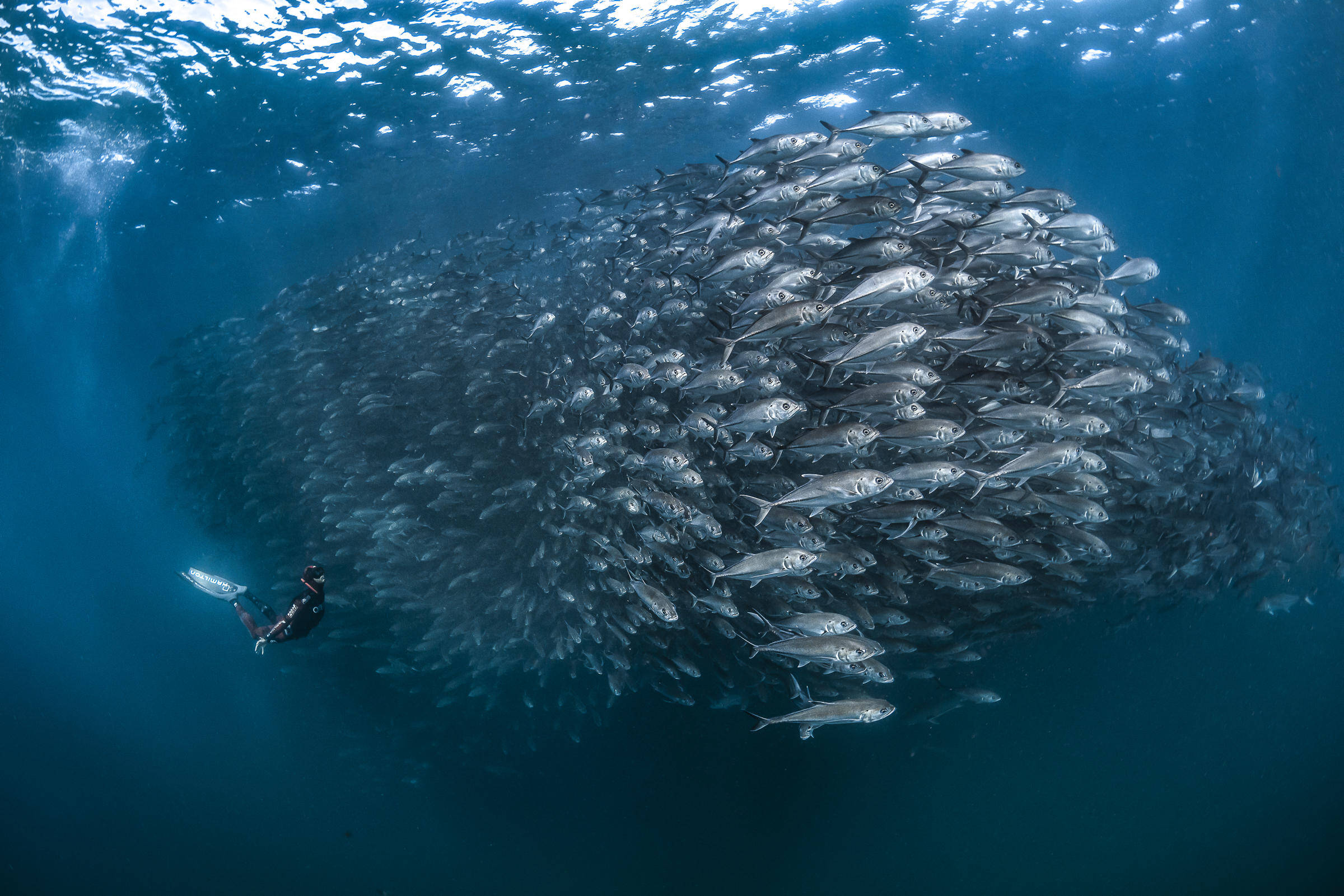 Ces 5 choses à retenir du colloque d'Indemer pour protéger les océans à Monaco
