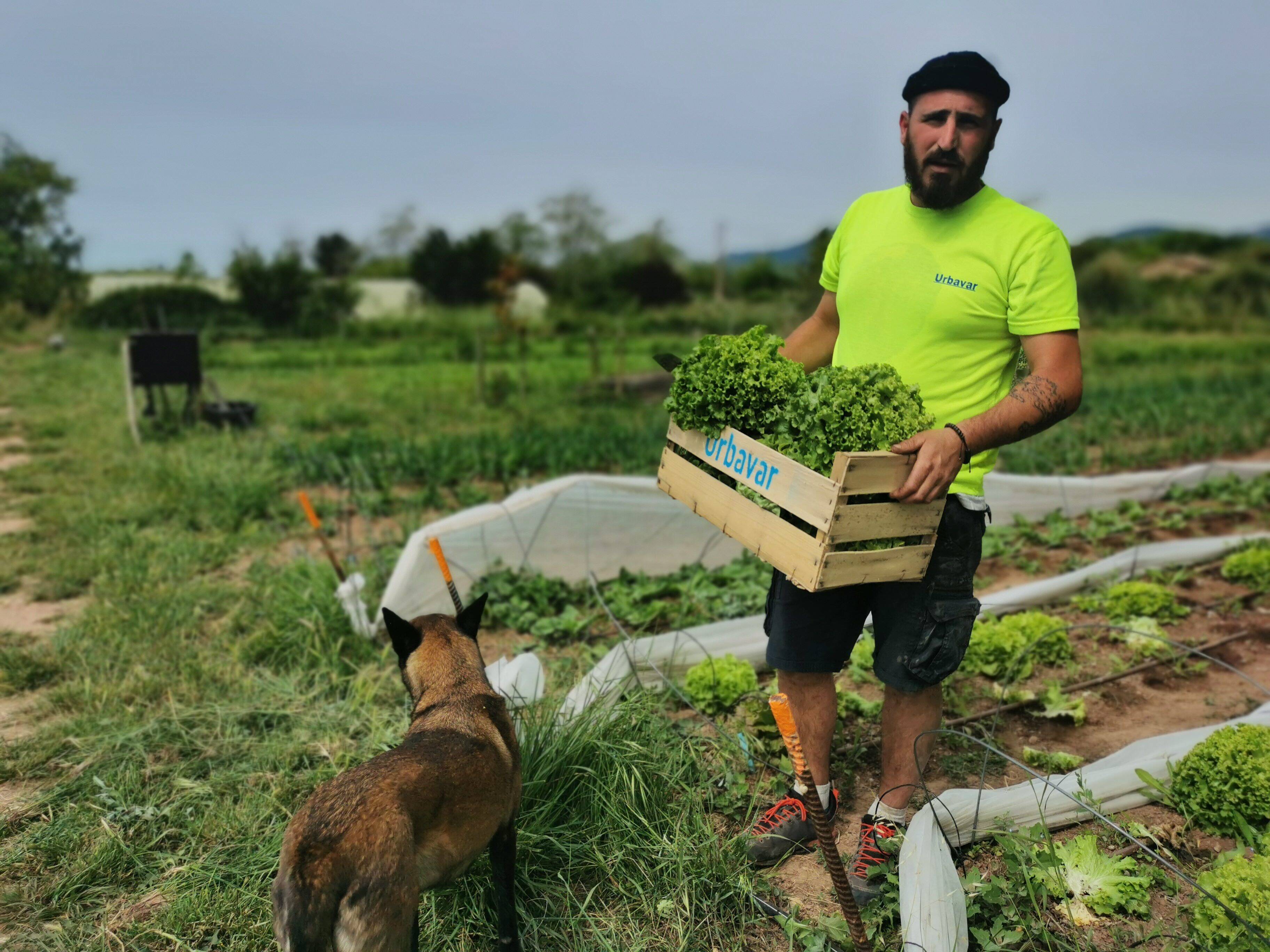 Cette entreprise a créé son propre potager pour ses salariés à La Garde