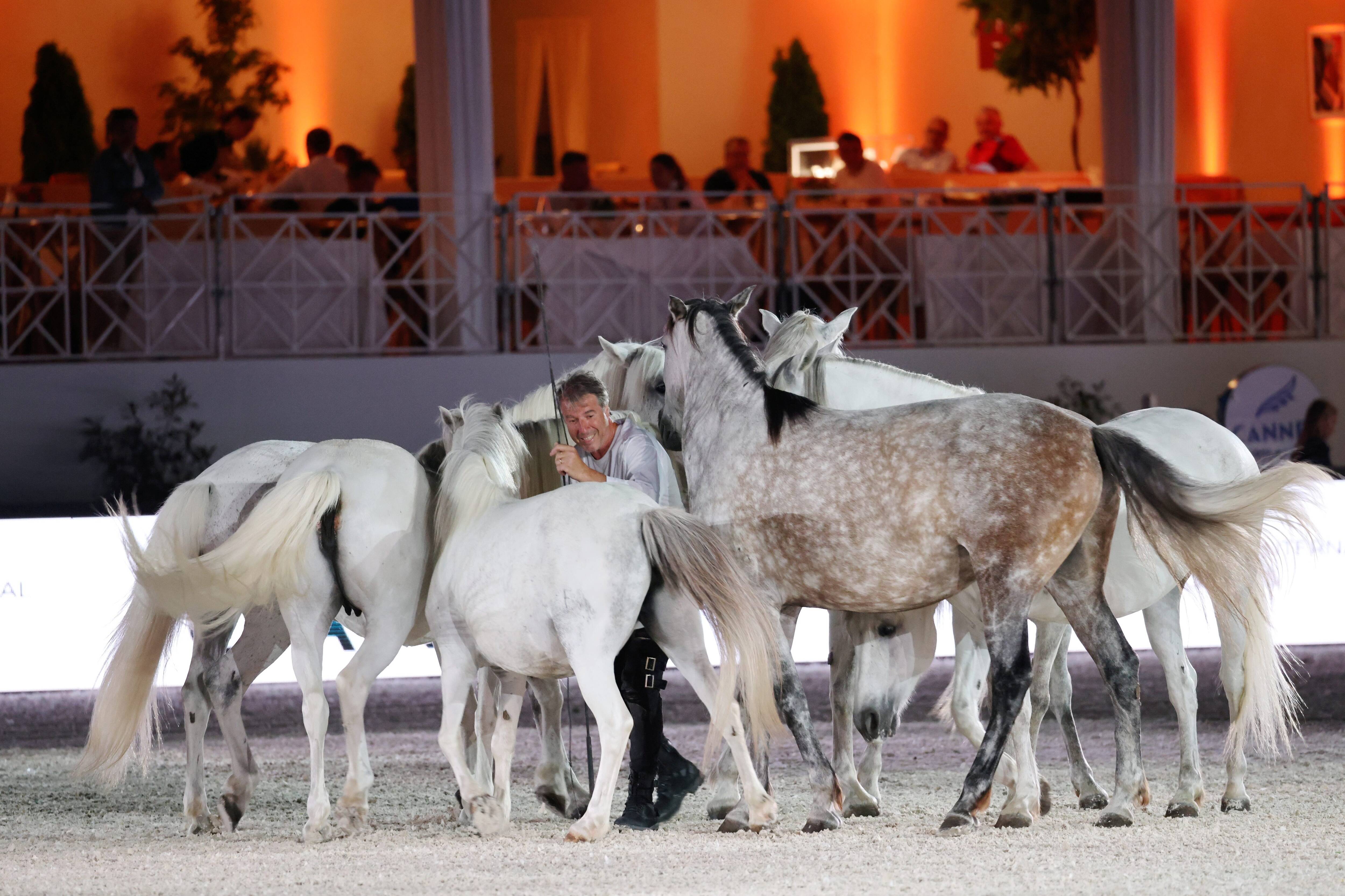 Au Jumping de Cannes, Jean-François Pignon fait le spectacle avec ses 13 juments en liberté