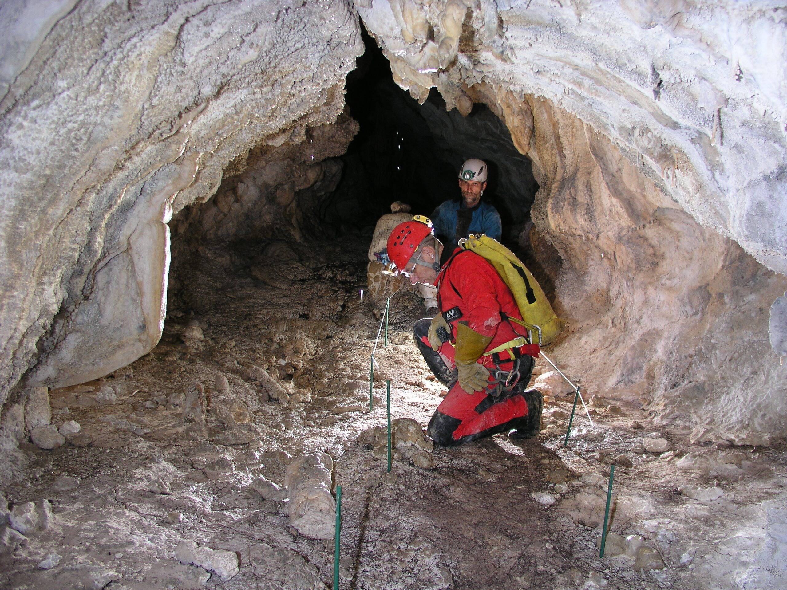 "Des grottes se sont formées grâce aux chauves-souris": entretien avec Jean-Claude Nobécourt, spéléologue avant sa conférence à Biot