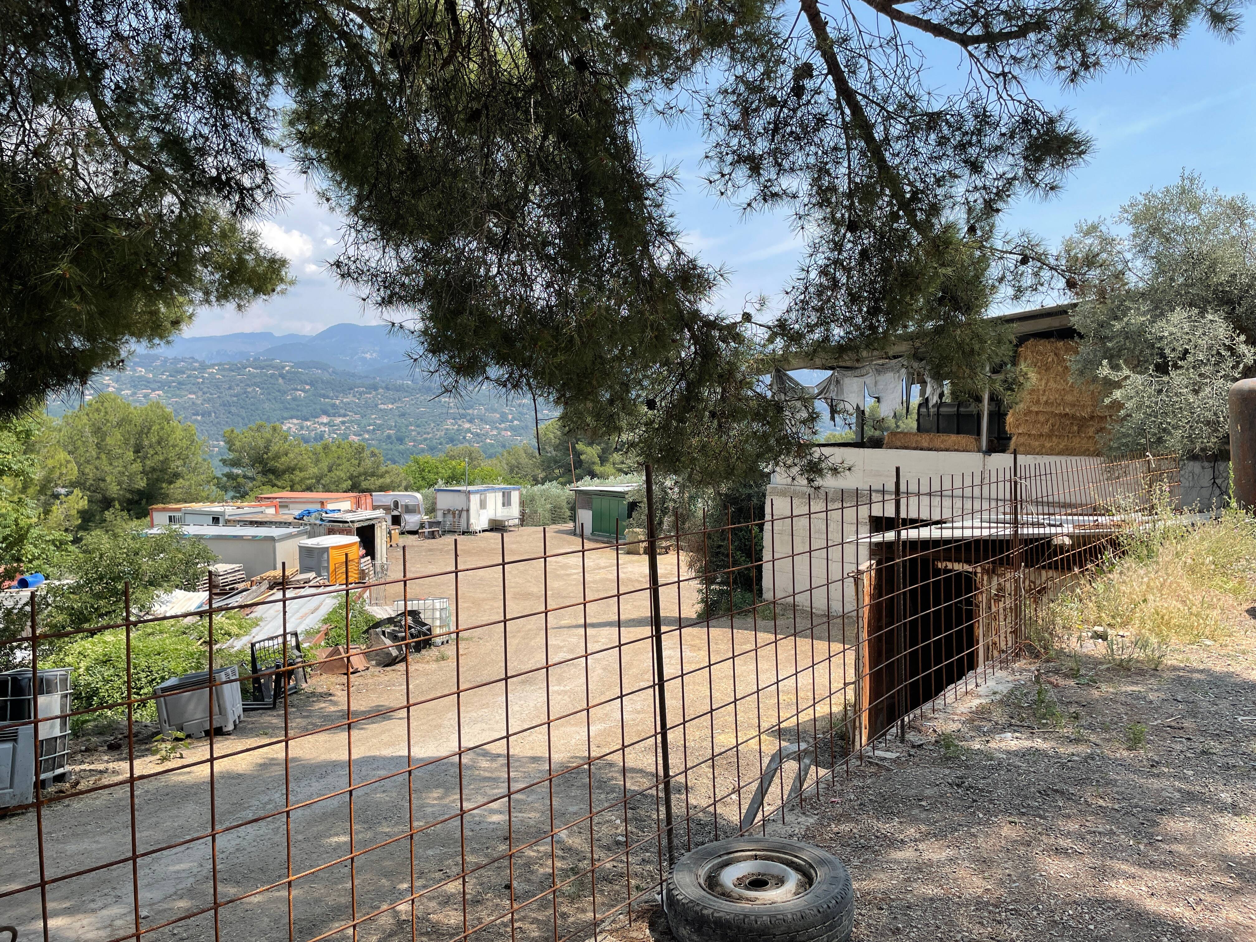 Aïd-el-Kébir: "On a tout vendu, 700 moutons", le rush dans cet abattoir de la Côte d'Azur