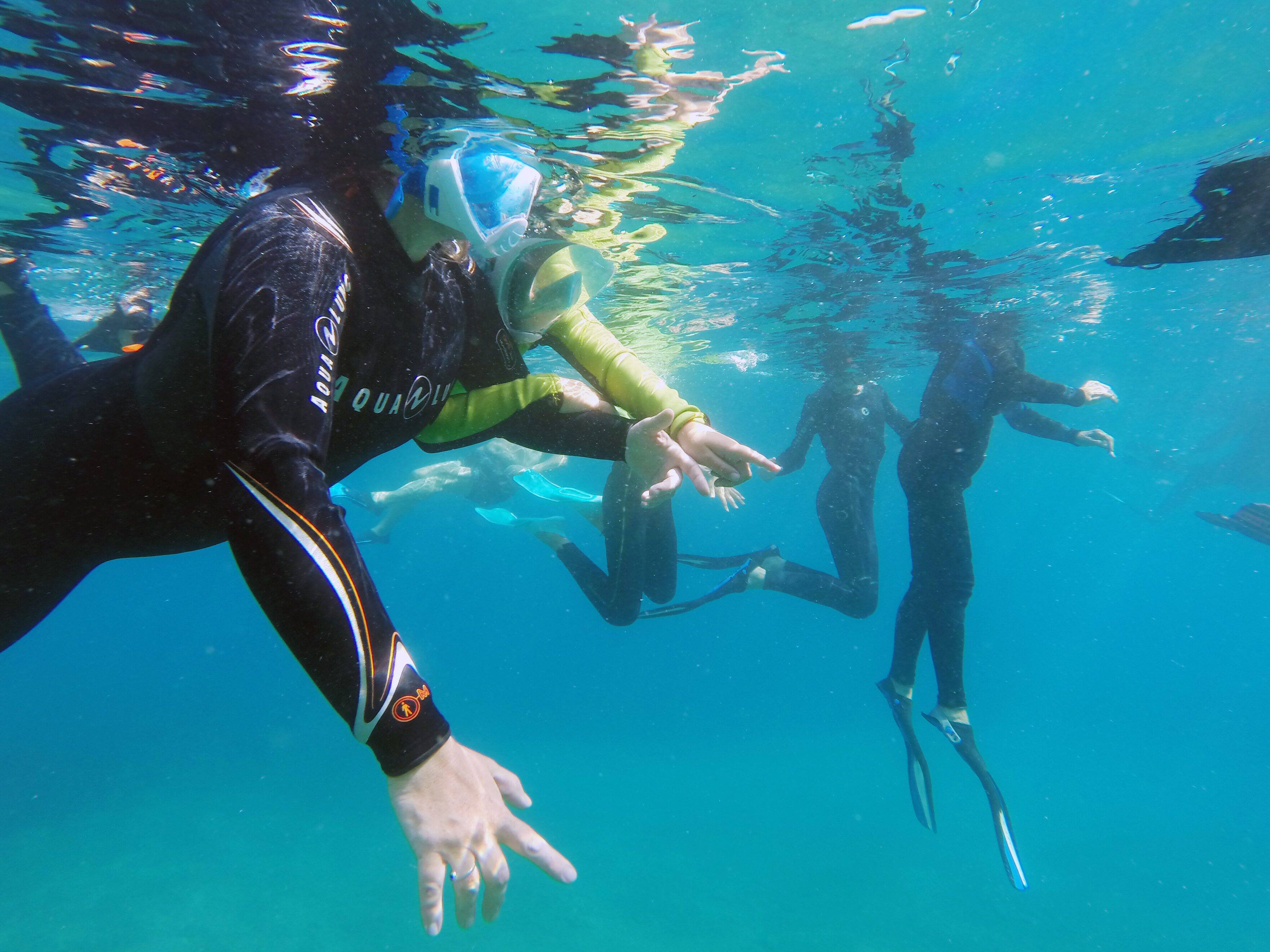 Trois bonnes raisons de partir à la découverte du fond marin cet été à Menton