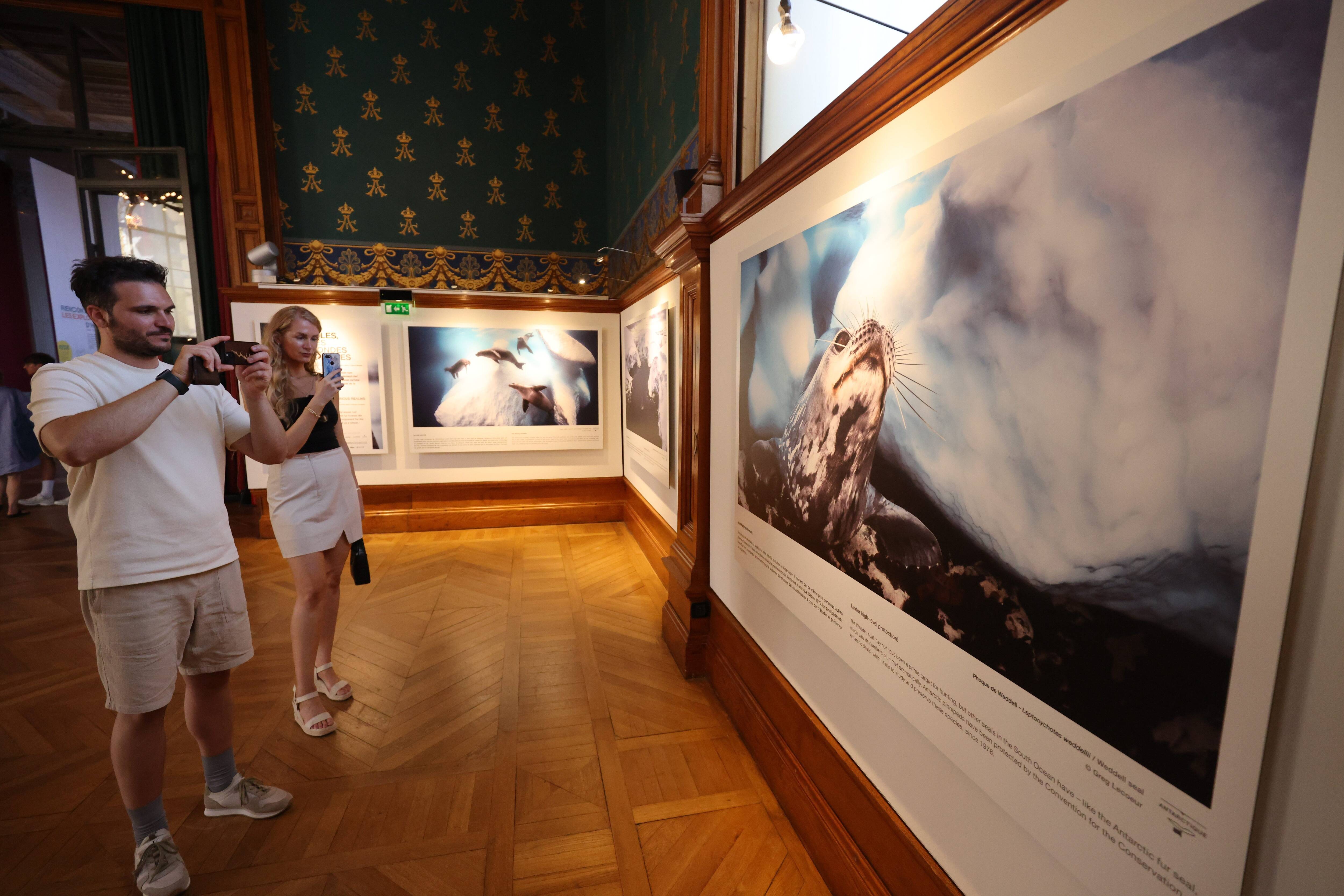 Venez découvrir la beauté et la fragilité des pôles immortalisées par ce photographe azuréen au Musée océanographique de Monaco