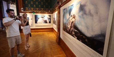 Le photographe azuréen Greg Lecoeur immortalise les pôles pour alerter sur leur fragilité au Musée Océanographique de Monaco