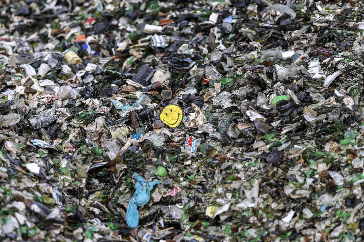 Recycler biologiquement les barquettes alimentaires en plastique qui finissent habituellement à l'incinérateur est désormais possible