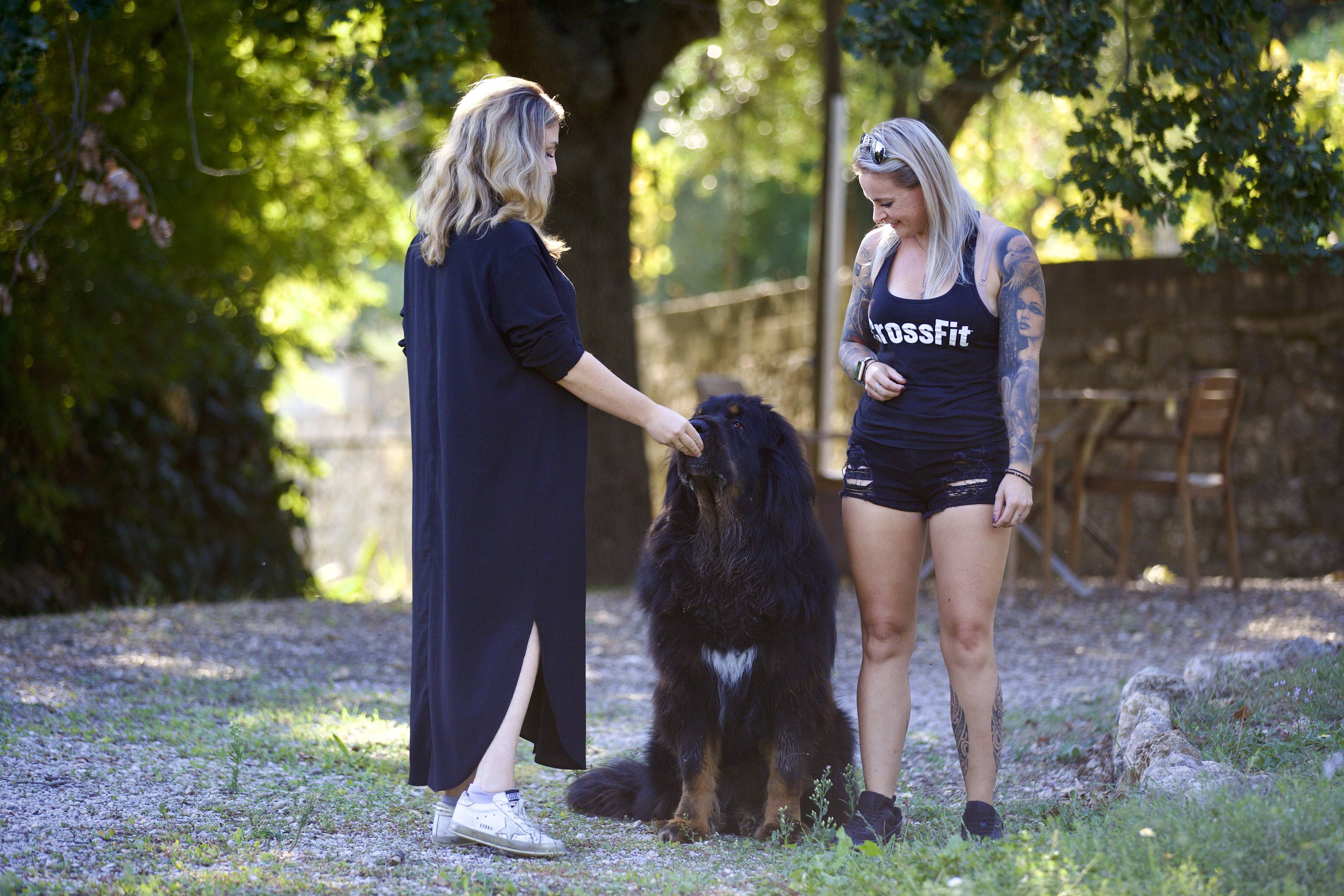 Chien sans laisse, personne agressive, bon départ avec un chiot.... Cette éducatrice animalière vous livre ses bons conseils