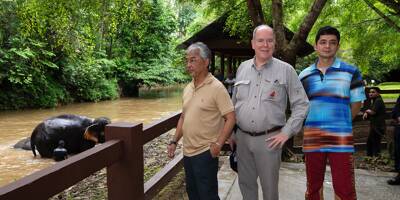 Le prince Albert II auprès des tigres et des éléphants en Malaisie