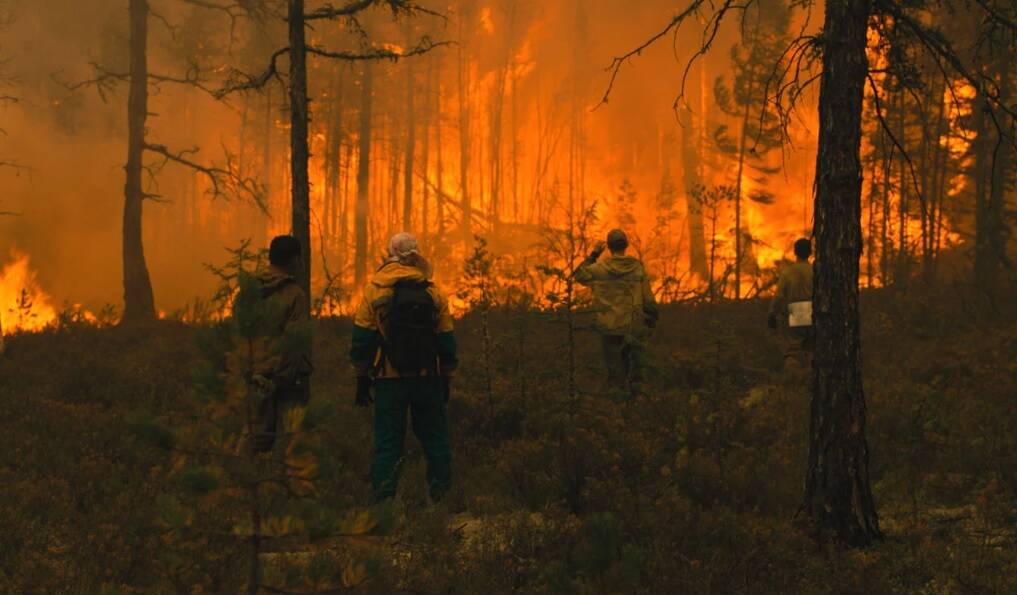 Une association environnementale à Fréjus va projeter un film sur les incendies qui ont ravagé des millions d'hectares de forêts en Sibérie