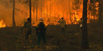 Une association environnementale à Fréjus va projeter un film sur les incendies qui ont ravagé des millions d'hectares de forêts en Sibérie