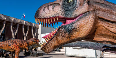 Des dinosaures robotisés et plus vrais que nature à Saint-Raphaël