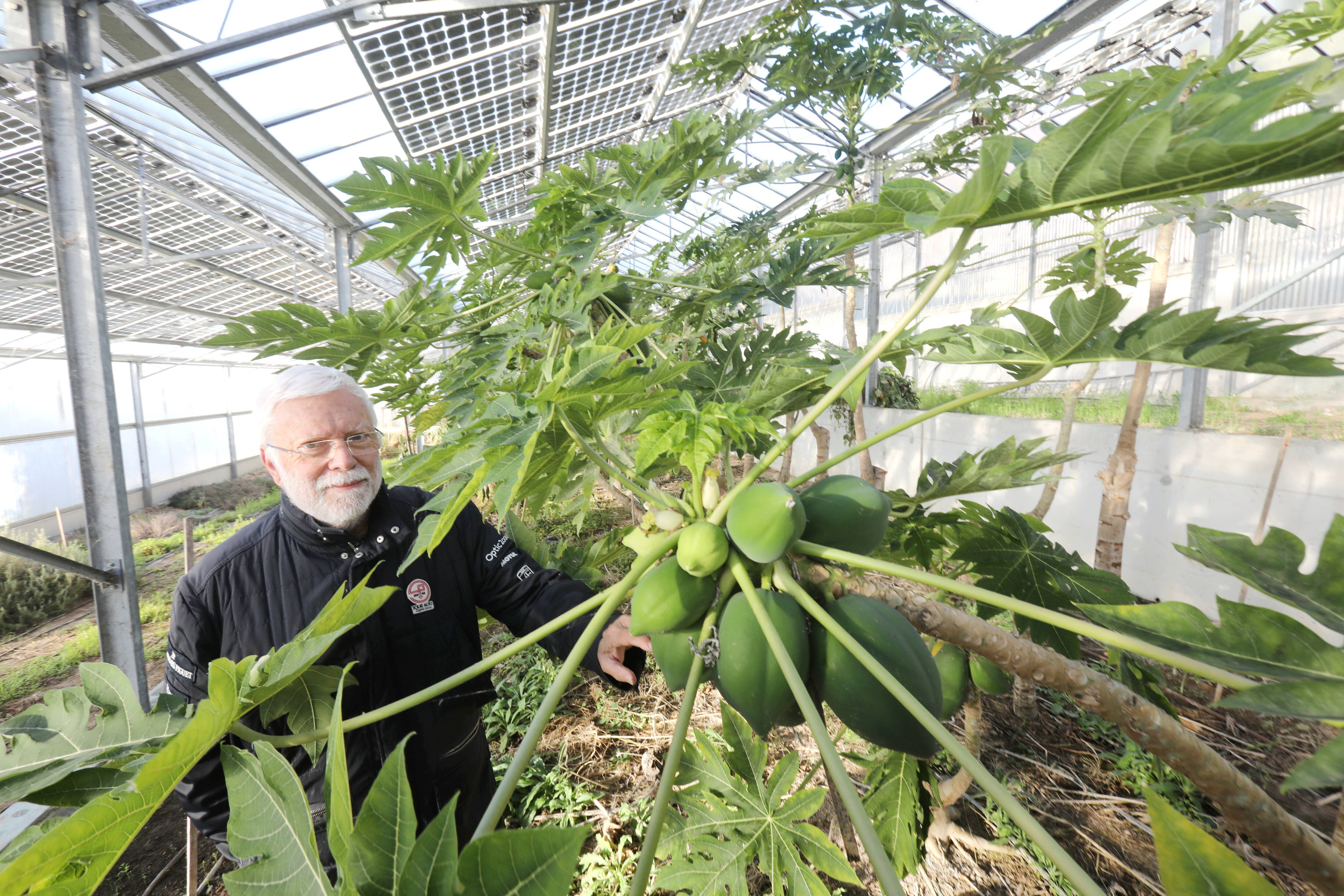 Agrivoltaïsme dans les Alpes-Maritimes et le Var: que reste-t-il des premières expériences? On fait le bilan