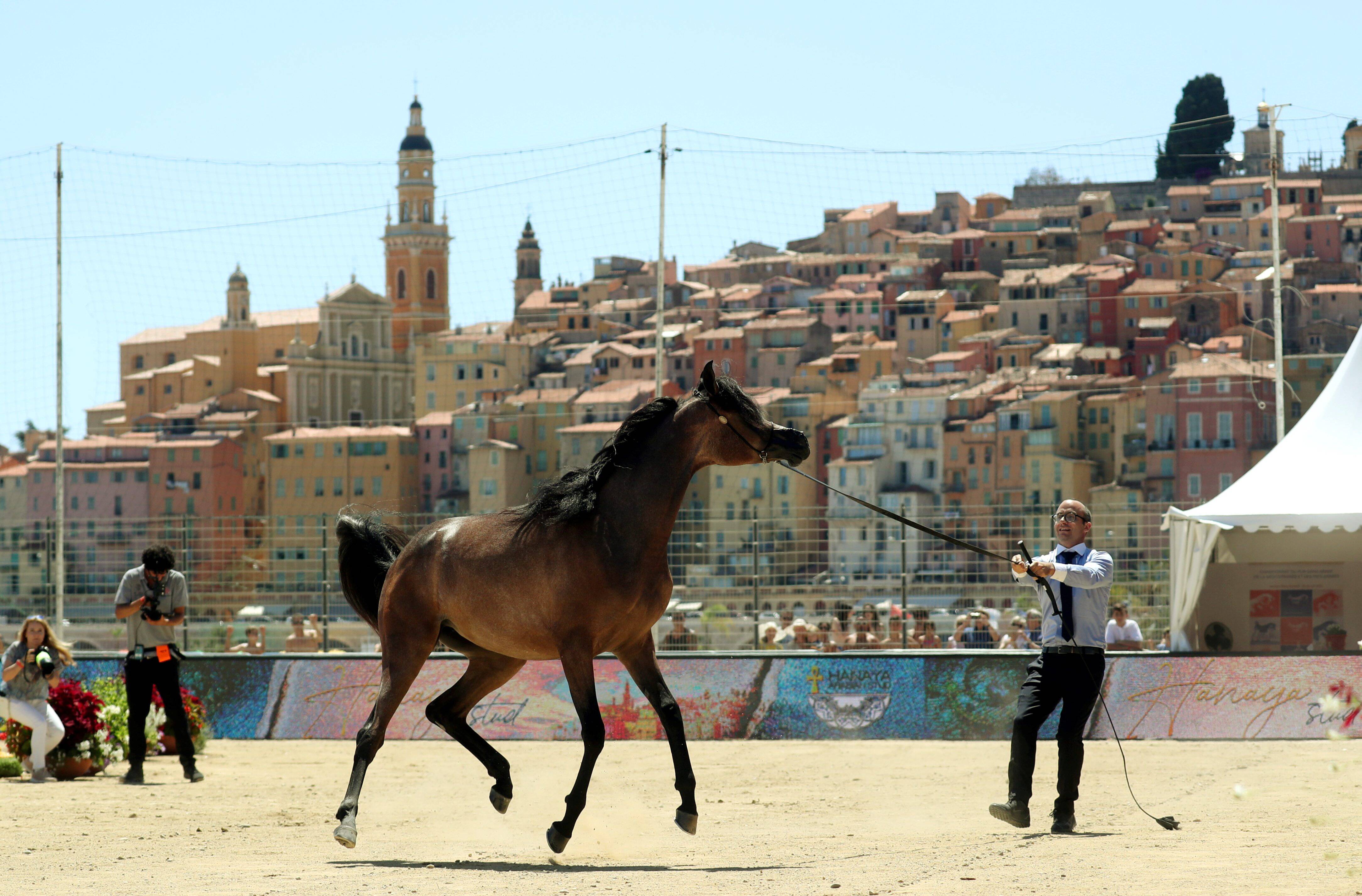 Pourquoi la 33e édition du championnat du pur-sang arabe a été annulée et risque de ne plus revenir à Menton