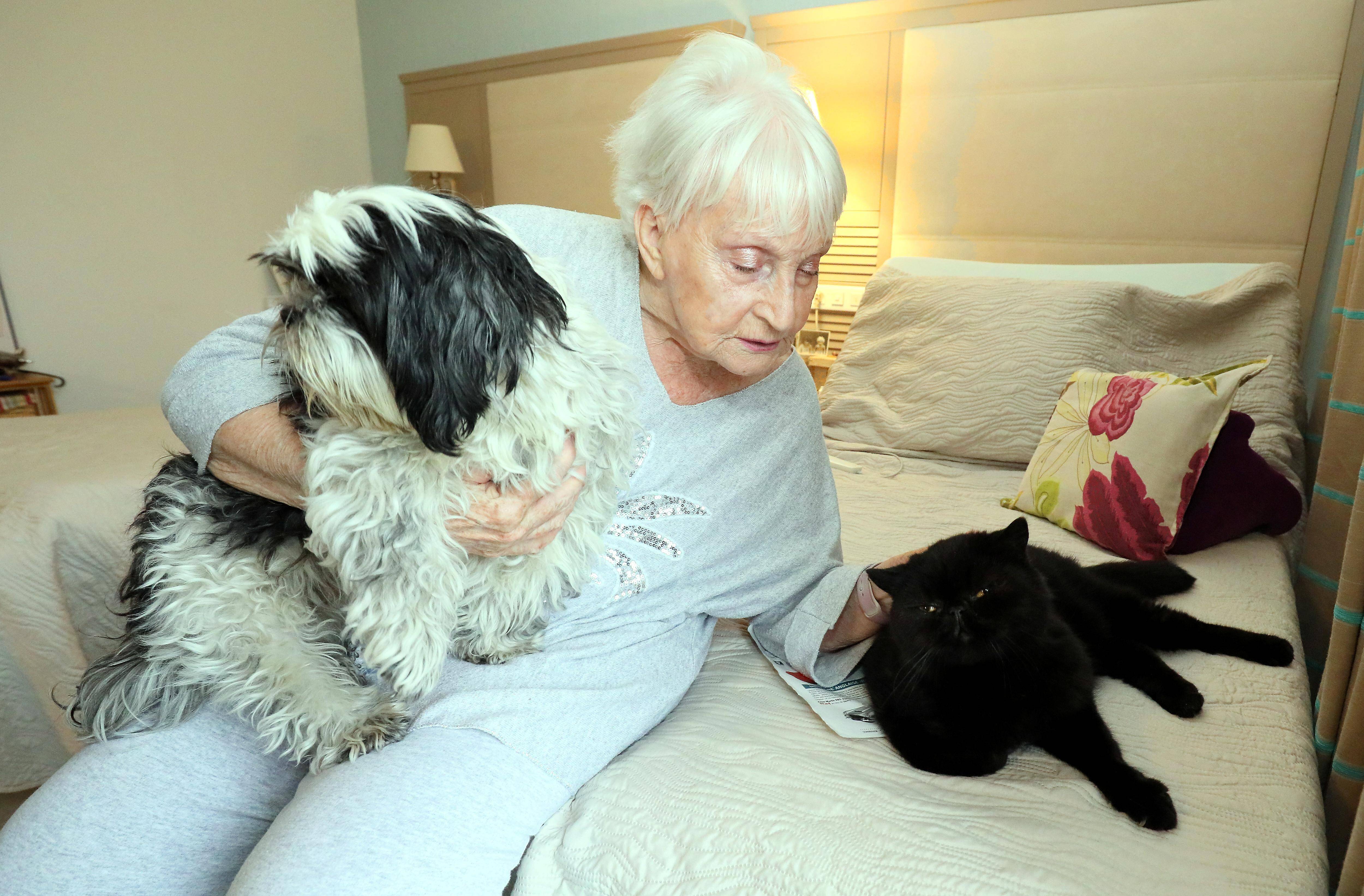 Oui, les animaux de compagnie sont bien autorisés dans les Ehpad à Monaco