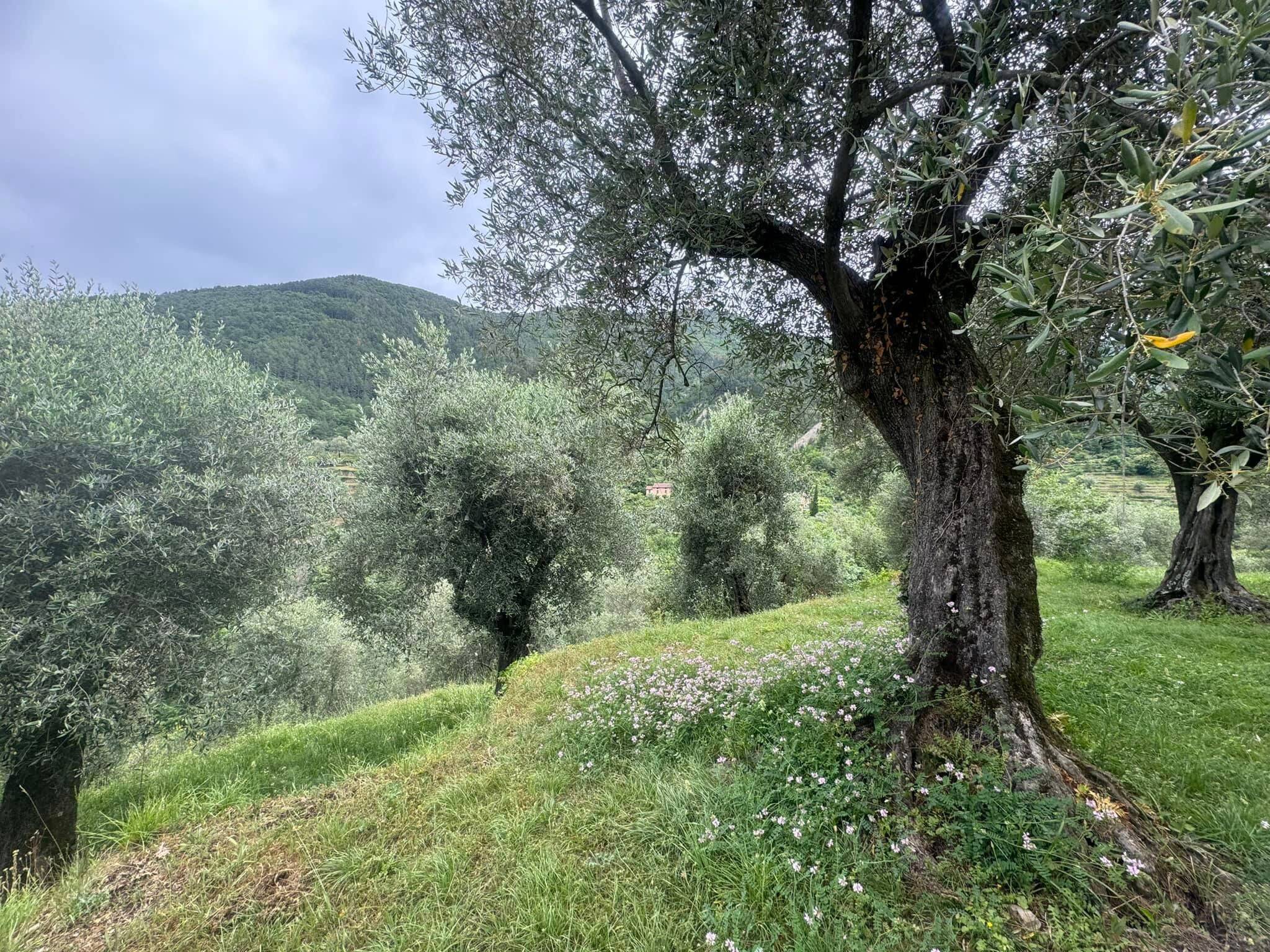 Ce qui vous attend à la 7e édition "Passeurs d'humanité" dans ces deux villages de haut-pays mentonnais