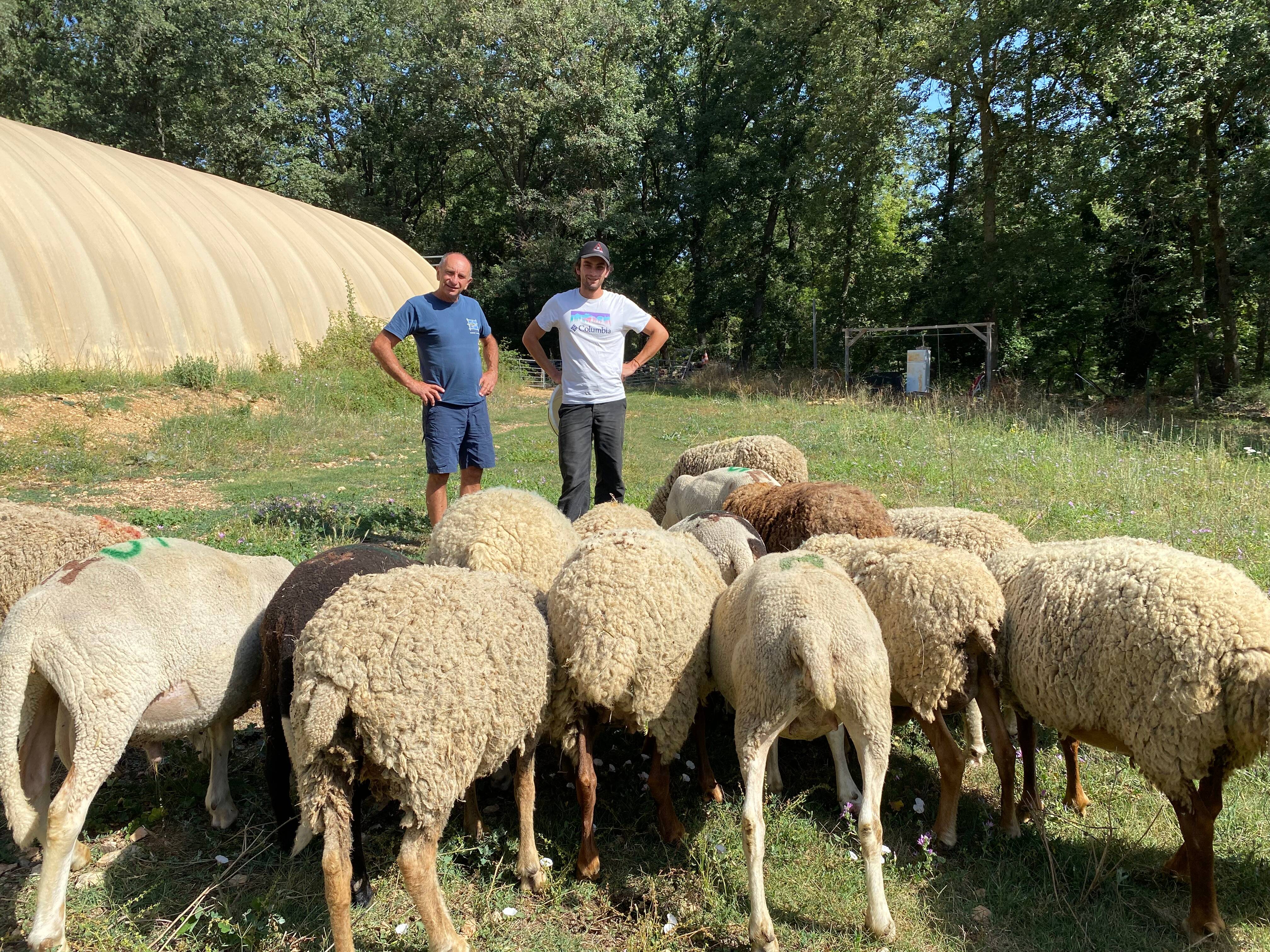 "On a l'impression que l'on ne veut plus de nous": un projet immobilier met en péril un éleveur d'ovins installé depuis 30 ans dans l'arrière-pays grassois