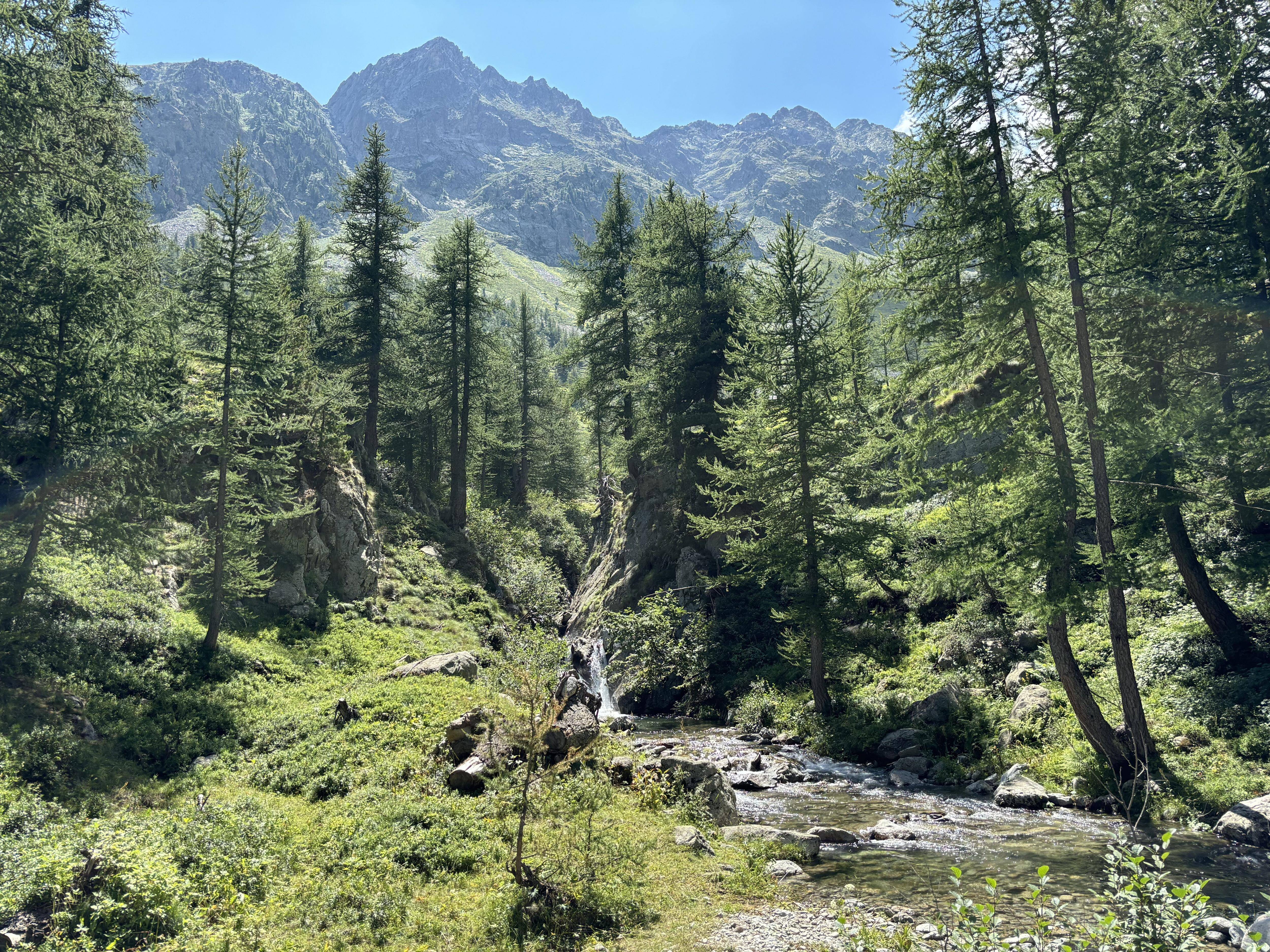 On a passé une journée dans la peau d'un garde moniteur du parc national du Mercantour