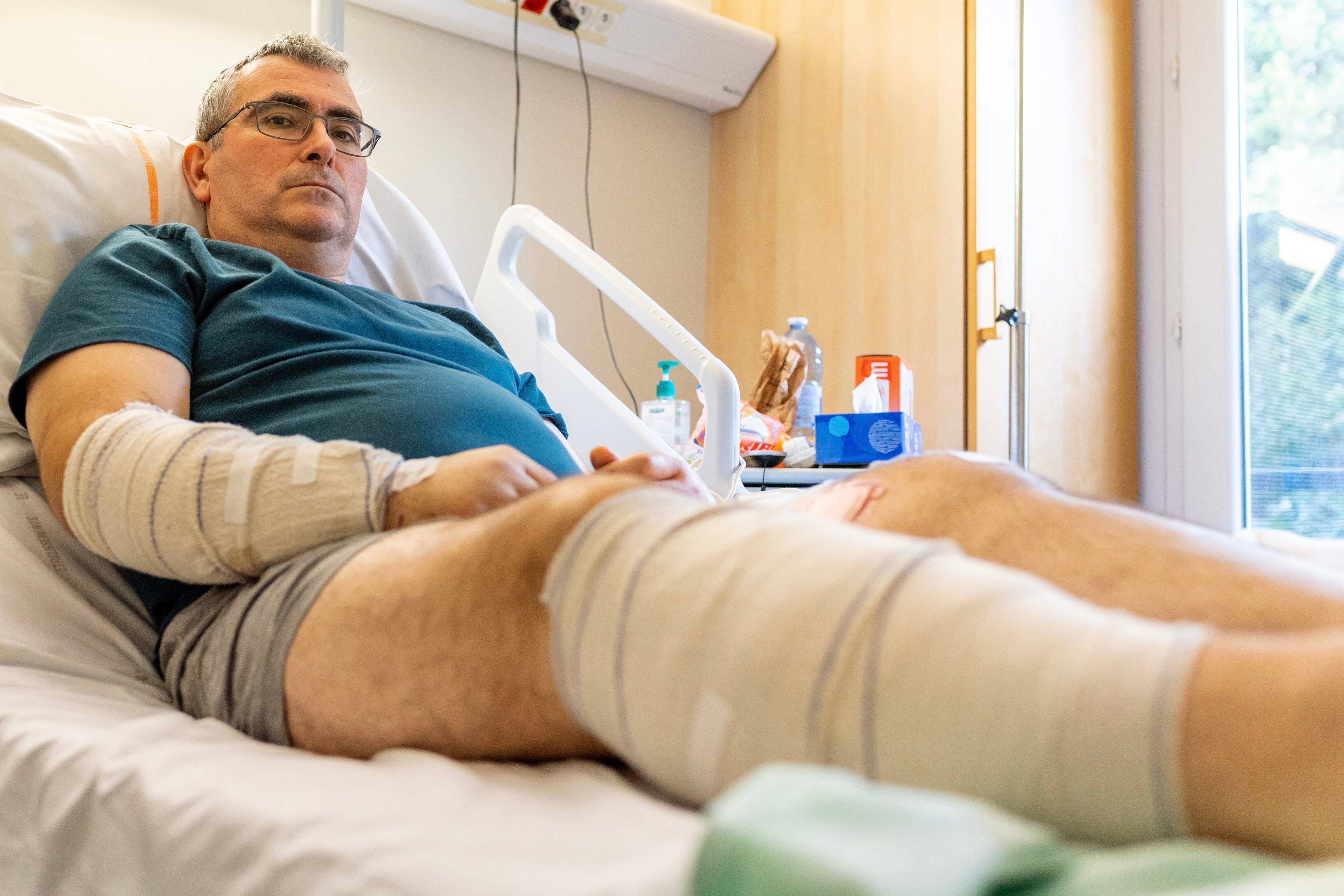 Il avait été mordu et gravement blessé par deux rottweilers dans le Var: le parquet requiert la confiscation des chiens