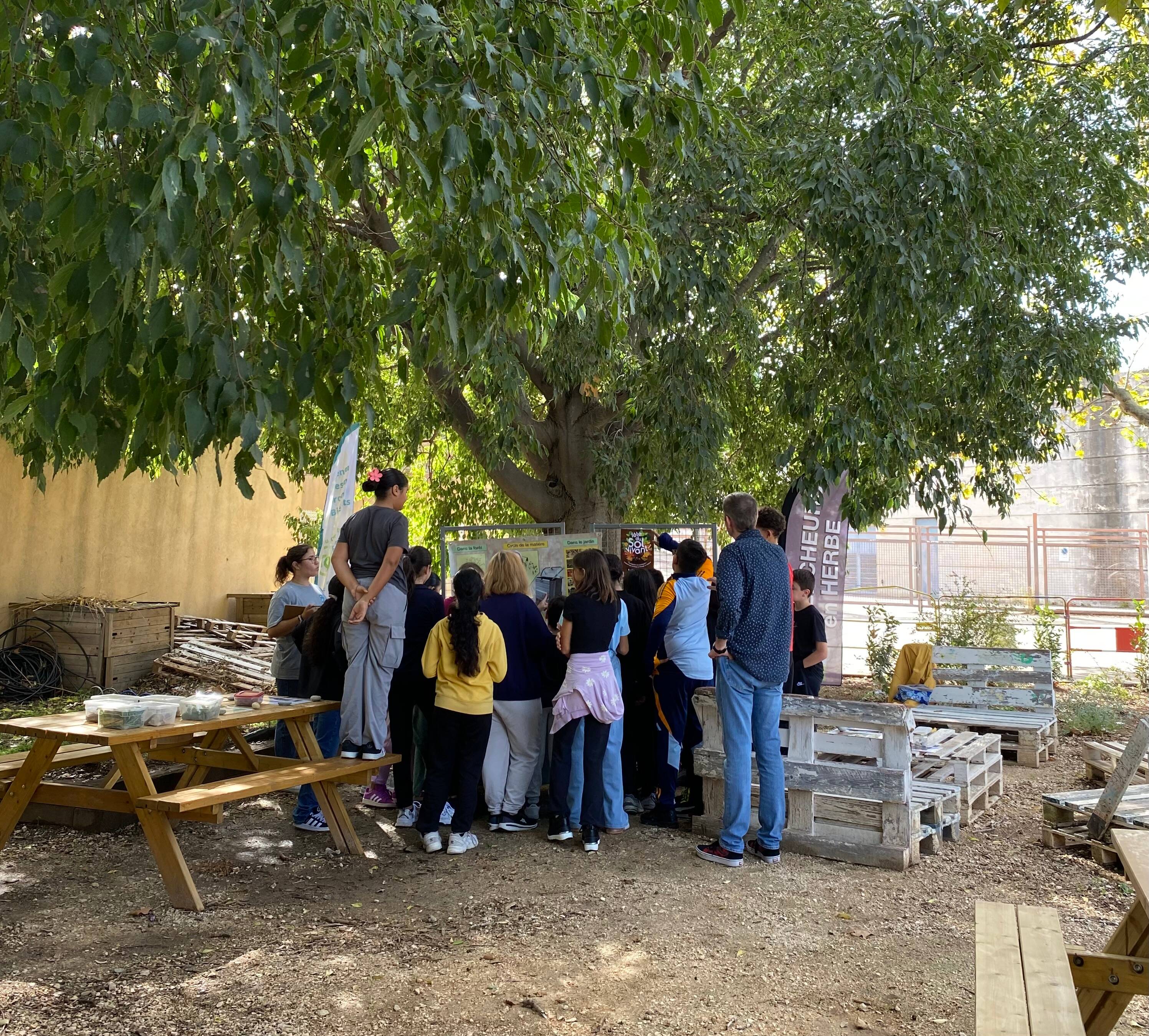 Journée de sensibilisation au développement durable pour les élèves de ce collège de Toulon