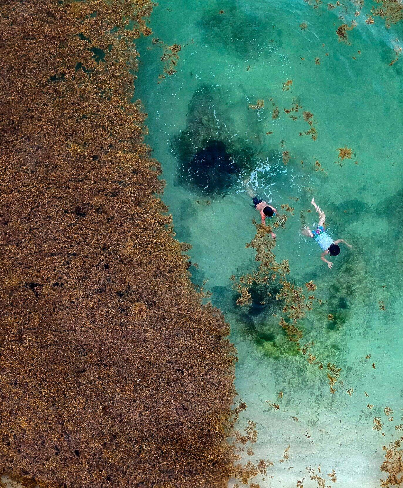 "La qualité écologique de nos actions a été reconnue": une start-up monégasque obtient un prestigieux label environnemental