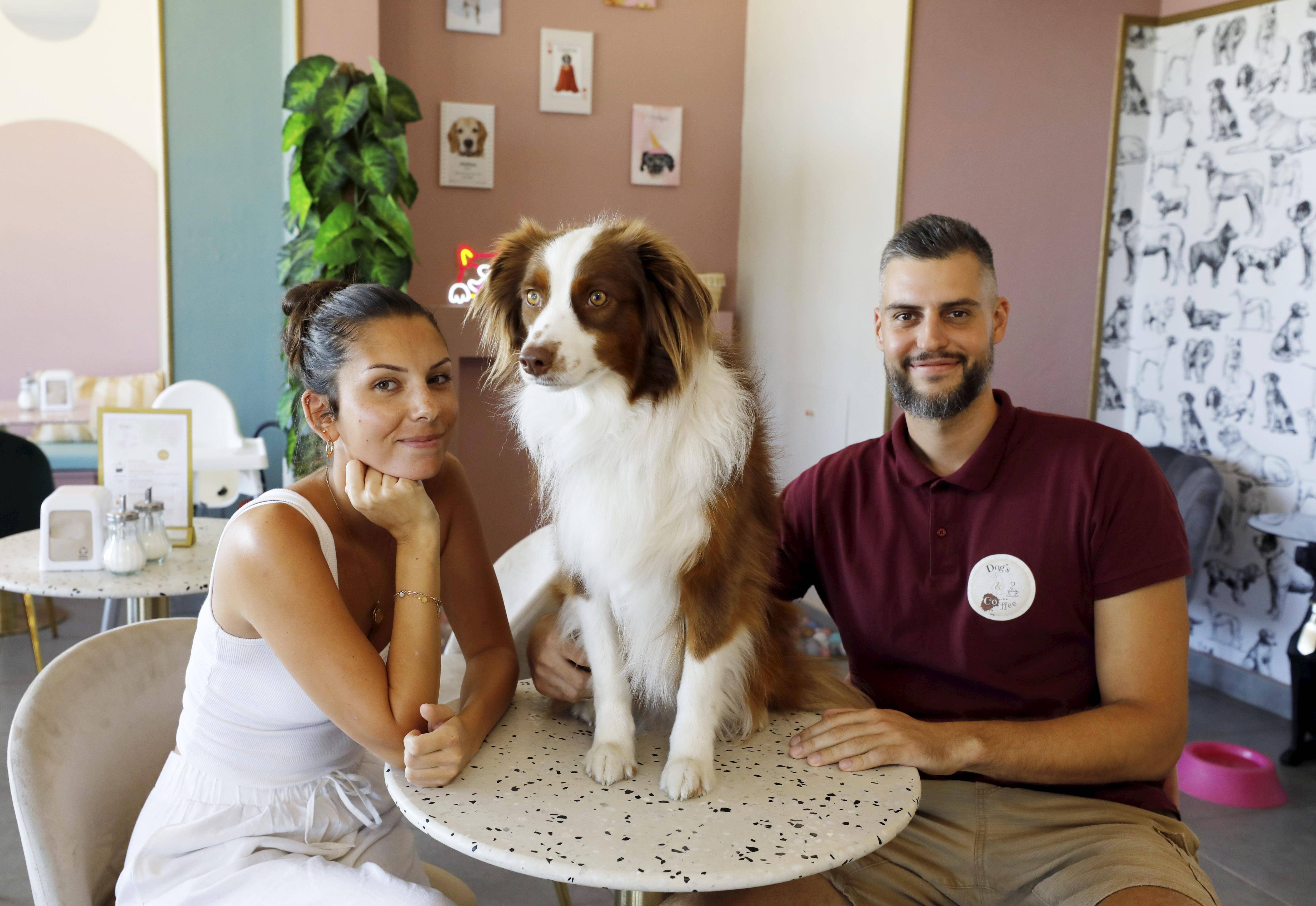 Chiens, sanglier, loutre, chevaux... retour sur une année bestiale dans le Mentonnais