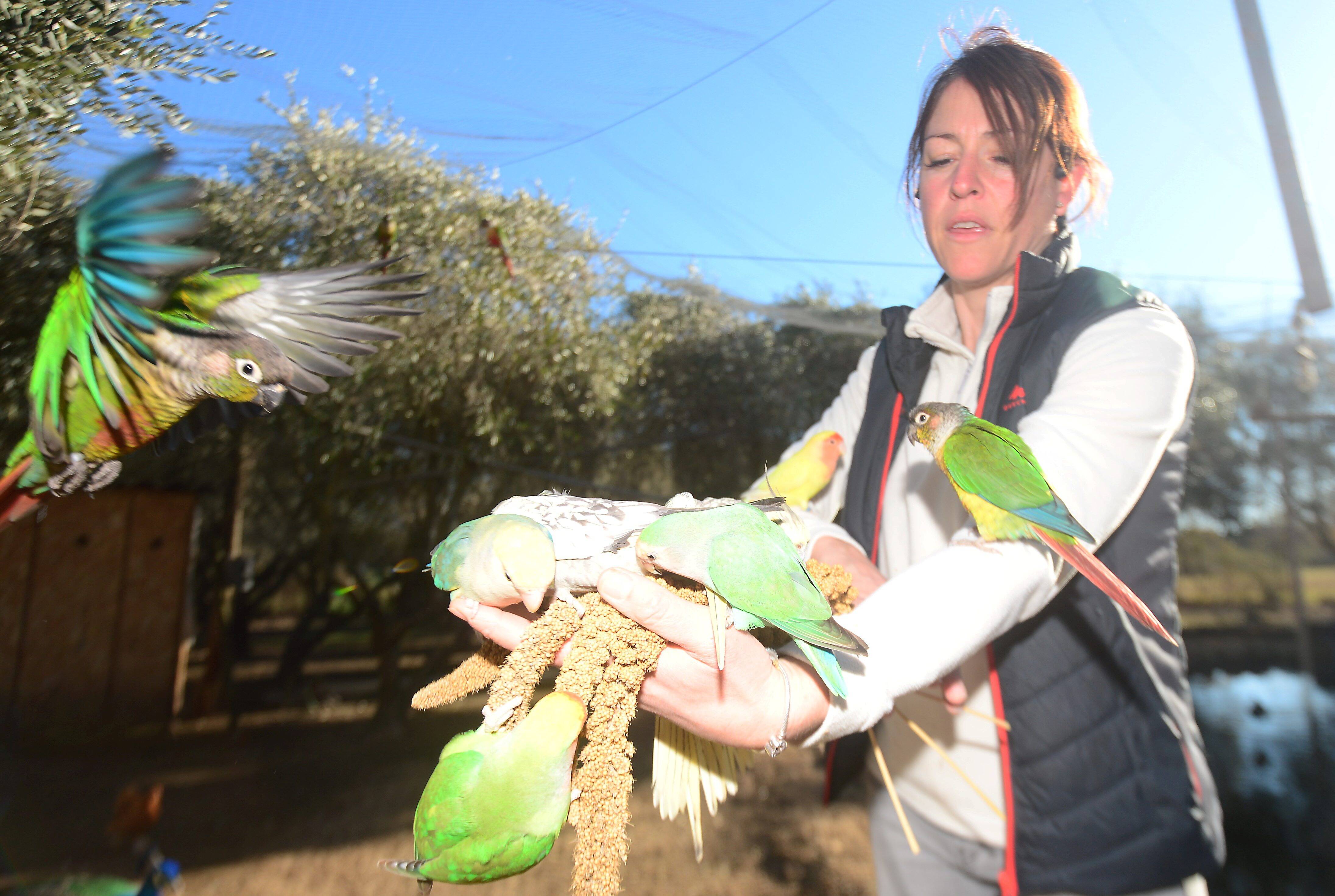 À deux pas du centre-ville de Fréjus, la Ferme du Pigeonnier prend soin des bêtes... et des hommes