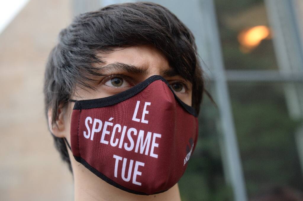 "Association de malfaiteurs": pourquoi ces défenseurs des animaux ont été condamnés par la justice au Mans