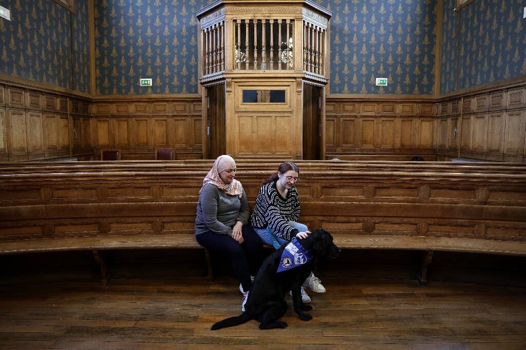 Des chiens en soutien des victimes au procès de l'ex-chirurgien pédocriminel Joël Le Scouarnec et partout en France