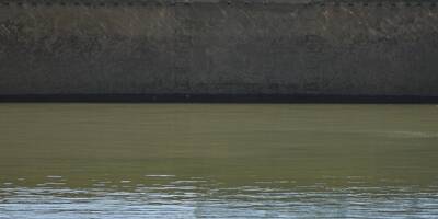 Les espoirs de sauver le béluga égaré dans la Seine s'amenuisent