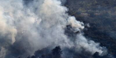 En Algérie, le bilan des feux de forêt dans plusieurs localités grimpe à 26 morts