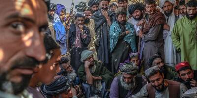 Au marché de l'opium afghan, les prix s'envolent sous les talibans