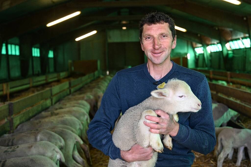 "Je ne sais pas ce que je vais faire"... Eleveur et moniteur de ski, un profil en sursis dans les Alpes