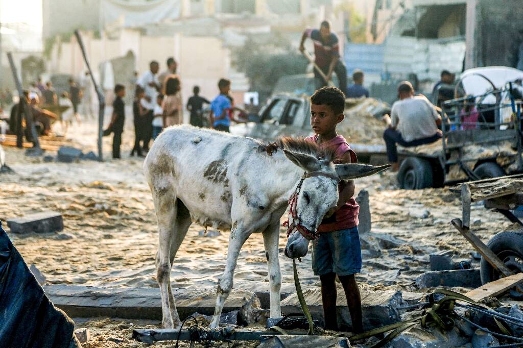 "Nous espérons que s'ils entrent, ils parviendront jusqu'à nous": Israël annonce de premières livraisons d'aide humanitaire à Gaza
