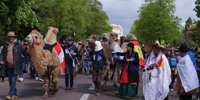 Pourquoi des chameaux, dromadaires et lamas du monde entier ont défilé dans le bois de Vincennes