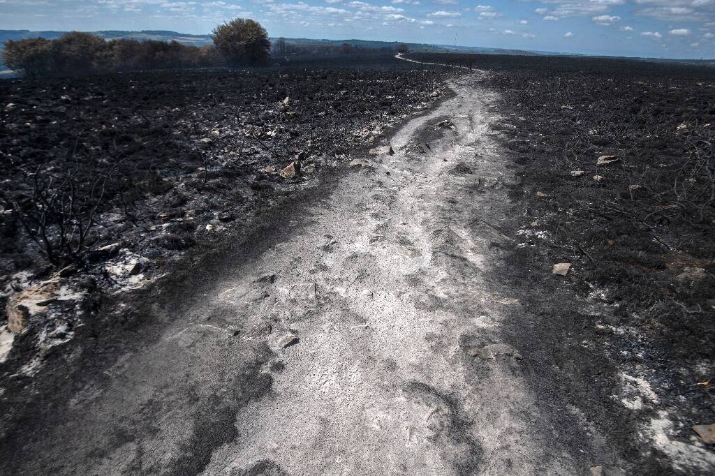 Plus de 1.700 hectares brûlés: les deux incendies dans les Monts d'Arrée en Bretagne sont d'origine criminelle, selon le parquet