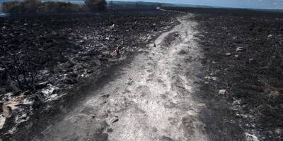 Plus de 1.700 hectares brûlés: les deux incendies dans les Monts d'Arrée en Bretagne sont d'origine criminelle, selon le parquet