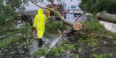 Après son passage en Guadeloupe, l'ouragan Fiona a fait des dégâts 