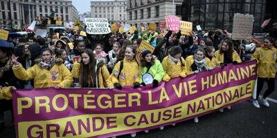 Les anti-IVG défilent à Paris contre l'allongement de la durée légale